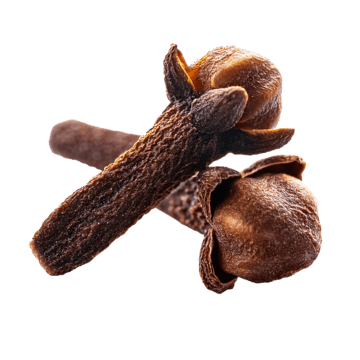 Clove